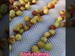 カスタムナイロンローラーブラシ 軸付き/無軸 工業用ジャガイモ剥き機