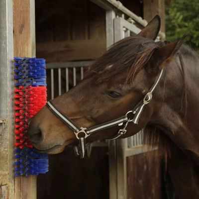 Semi Circular Rotating Cow Scratching Brush For Cow Cleaning Custom